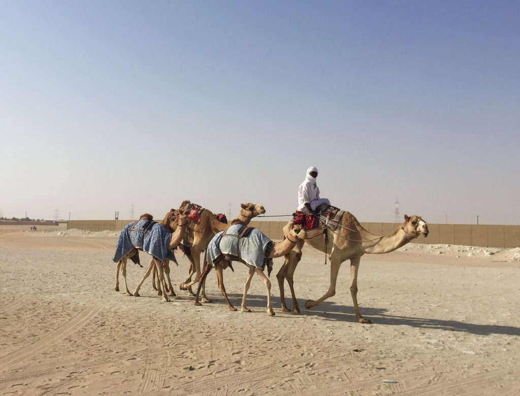 Abu Dhabi Reise
