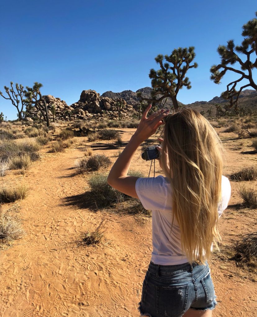 joshua tree, vintage airstream, usa roadtrip